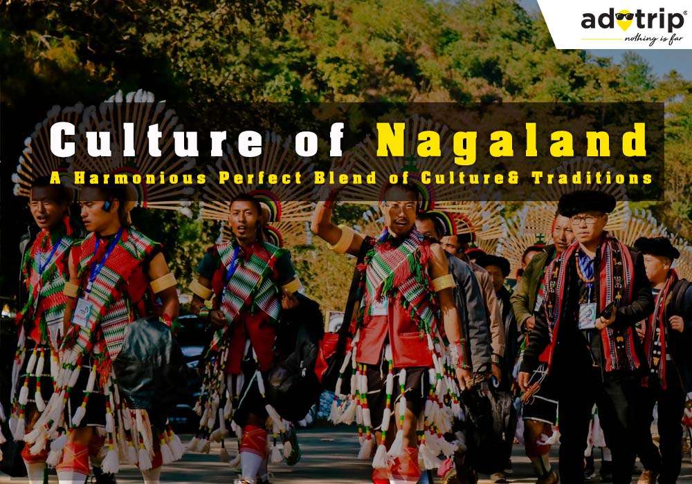 Culture Of Nagaland | Traditions, Food, Dance, Music